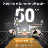MOTO ELECTRICA CX-D10