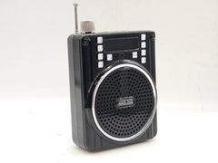 Bocina Radio portatil WKS-204