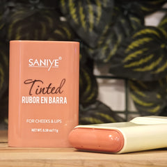 Rubor en barra saniye R93