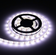 files/BLANCA5M_25eb1b43-45c2-4203-a8ac-ea0a83116088.png